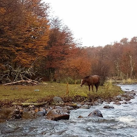 Bosque Holistico Del Fin Del Mundo Hotell Ushuaia Rum bild